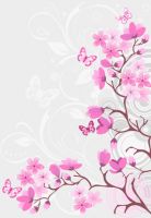 Fototapeta MAGNOLIA